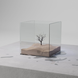 黄视频在线观看免费
