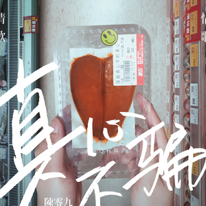 黄视频在线观看免费
