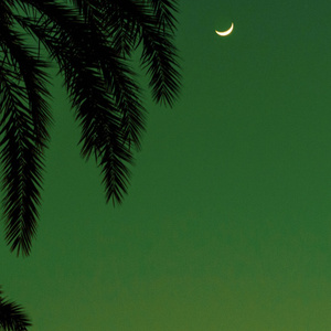 黄视频在线观看免费
