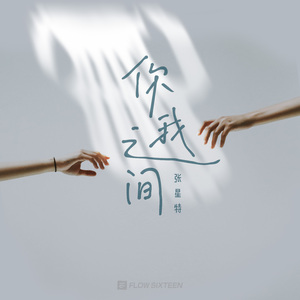 黄视频在线观看免费
